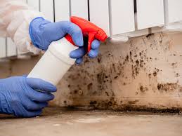 Mold Remediation for Rental Properties in Blackfoot, ID